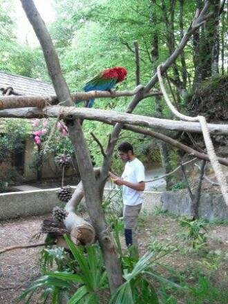 Zoo de Pont-Scorff Zoo de Pont-Scorff
